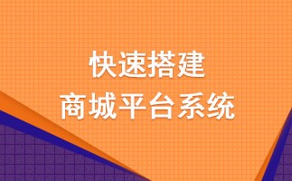 开源网上商城系统运营要怎么做？关于源码商城系统运营的那点事